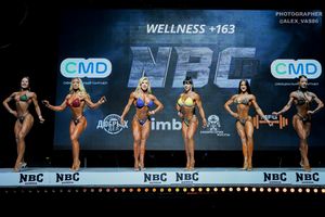 WELLNESS +163